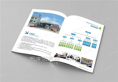 啟成廣告一步到位 玩具公司宣傳畫(huà)冊(cè) 東莞石碣公司宣傳畫(huà)冊(cè)圖片