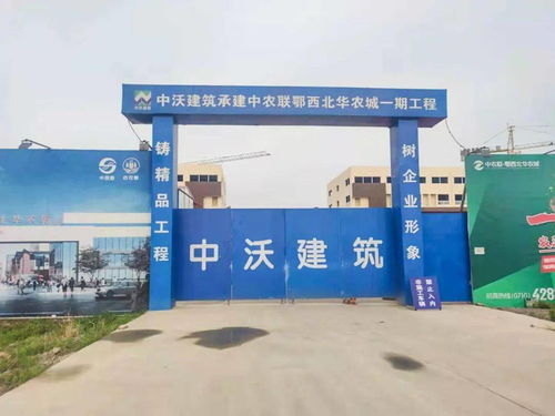 中農聯皖東南涇縣農產品批發市場盛大開工，助力區域農業產業升級